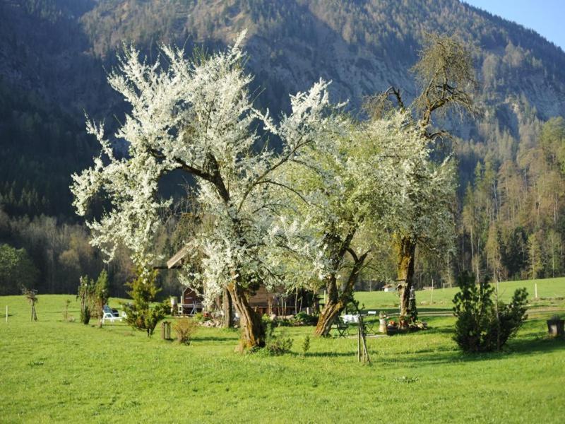 Hansenbauernhof Inkl. Chiemgaukarte Ruhpolding Eksteriør billede